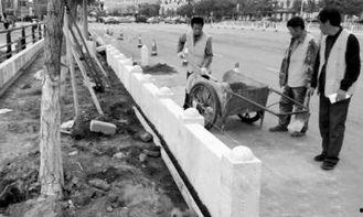 石墙在线观看  第2张