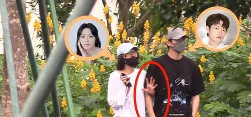 杨迪爆料恋爱视频大全最新,甜蜜瞬间大盘点  第2张