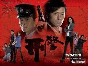 刑警tvb在线观看,在线追剧，揭秘犯罪背后的真相  第3张
