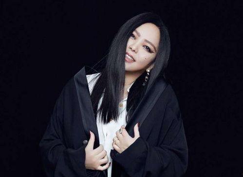 张惠妹爆料王力宏视频,事件背后真相引人关注  第3张