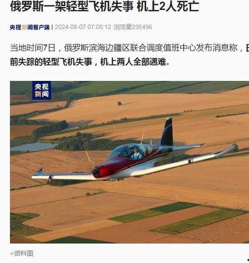 新闻爆料飞机失事视频,飞机失事现场视频曝光，紧急救援行动展开  第2张