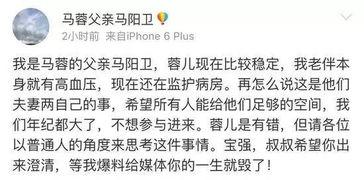 马蓉爆料新闻最新消息,揭秘王宝强婚姻内幕，惊人真相曝光！  第2张