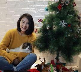 娱乐圈爆料高圆圆