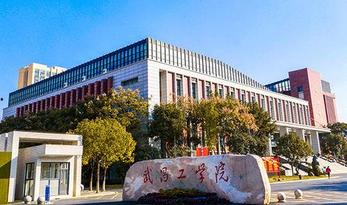 武昌工学院爆料事件最新,揭秘校园内幕引发社会关注  第2张
