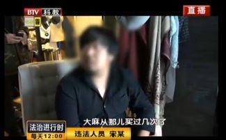 哪个歌手又被爆料了呢视频,揭秘娱乐圈背后的真相  第3张