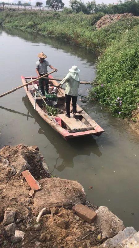 城固县污染爆料事件最新 第2张 城固县污染爆料事件最新 第2张