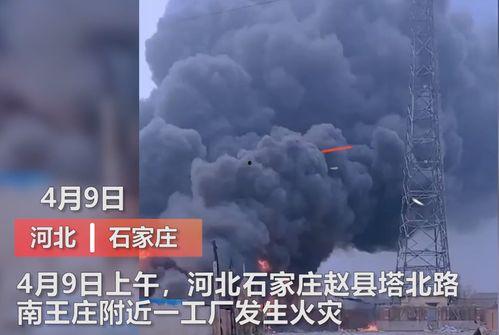 化肥厂爆料事件视频播放,揭秘行业黑幕与环保危机  第2张