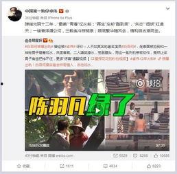 本溪王东鸿爆料视频,揭秘事件背后真相  第2张