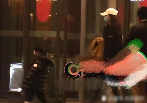 港娱记爆料杨颖是谁啊视频,杨颖是谁？揭秘明星背后的故事  第2张