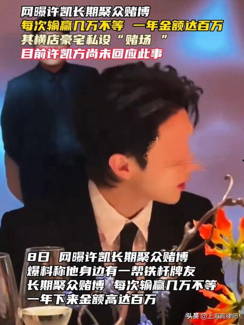 媒体爆料许凯视频播放下载,媒体爆料背后真相揭秘  第3张