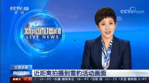 楚雄电视台爆料新闻直播,最新事件追踪报道  第3张