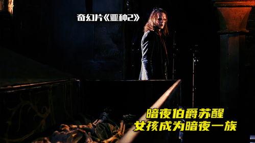 暗夜电影在线观看,沉浸式悬疑之旅