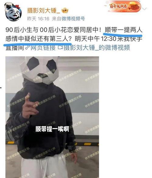 刘大锤三月爆料视频,热点事件背后的真相  第3张