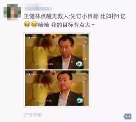 天涯爆料王平完整版视频,事件真相与背后故事深度剖析  第2张