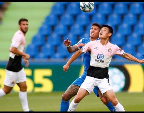 狼队内部爆料最新消息,最新动态揭秘 第2张 狼队内部爆料最新消息,最新动态揭秘 第2张