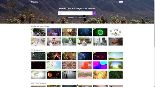 爆料食品视频素材下载,视频素材揭示惊人真相