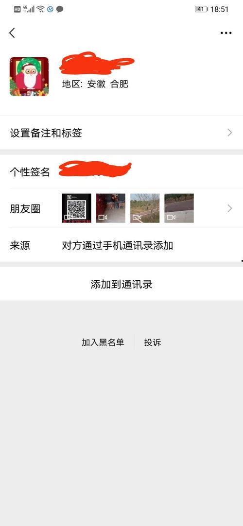 宠物博主爆料视频大全集,萌宠日常大揭秘  第2张