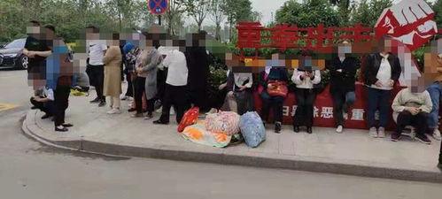 菏泽爆料最新,揭秘菏泽最新热点事件! 第3张 菏泽爆料最新,揭秘菏泽最新热点事件! 第3张